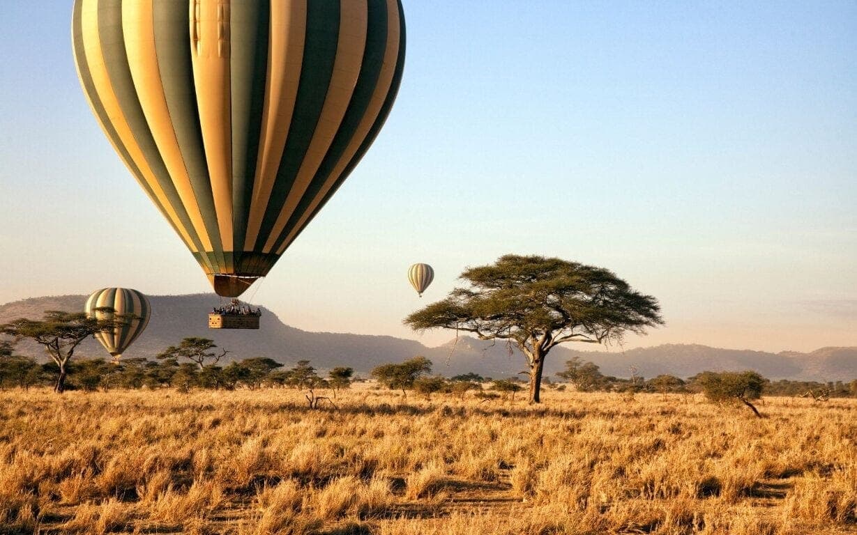 Hot air balloons floating over Serengeti savannah with acacia trees