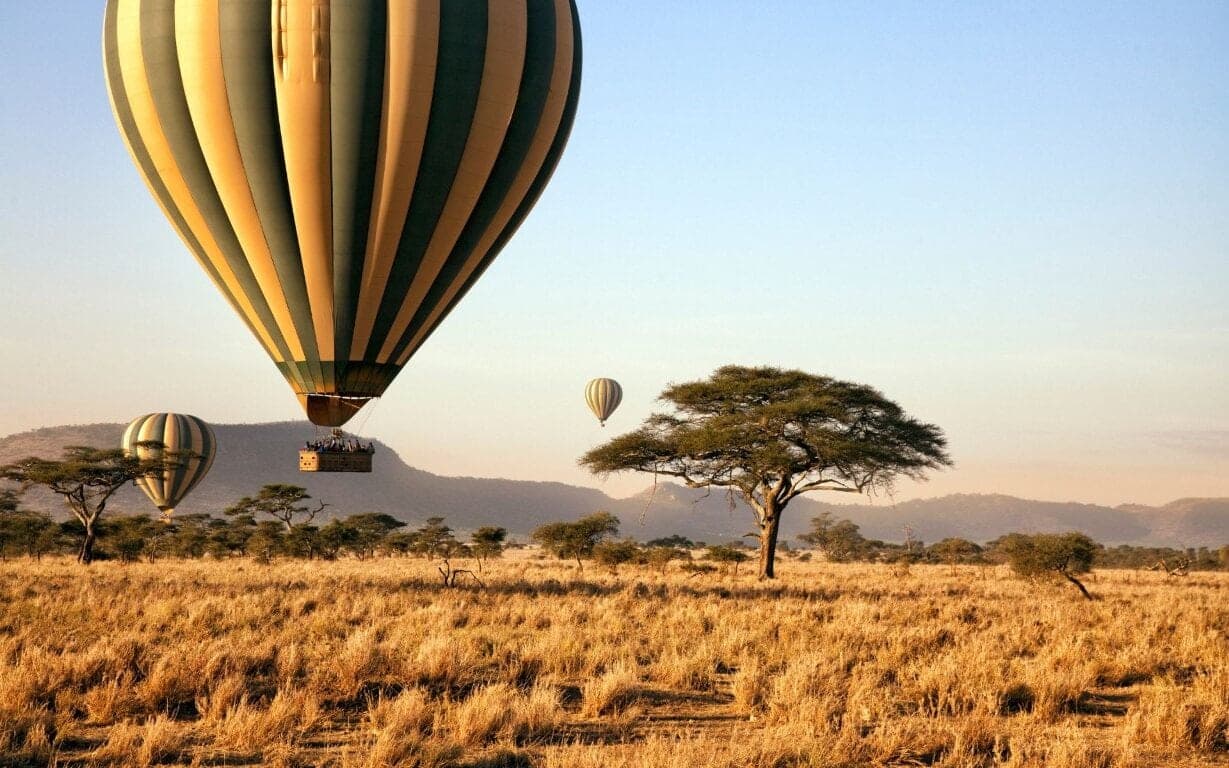 Hot-air balloons above open savannah