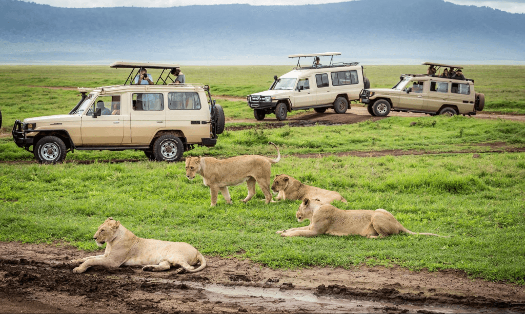 5 Days Serengeti & Ngorongoro