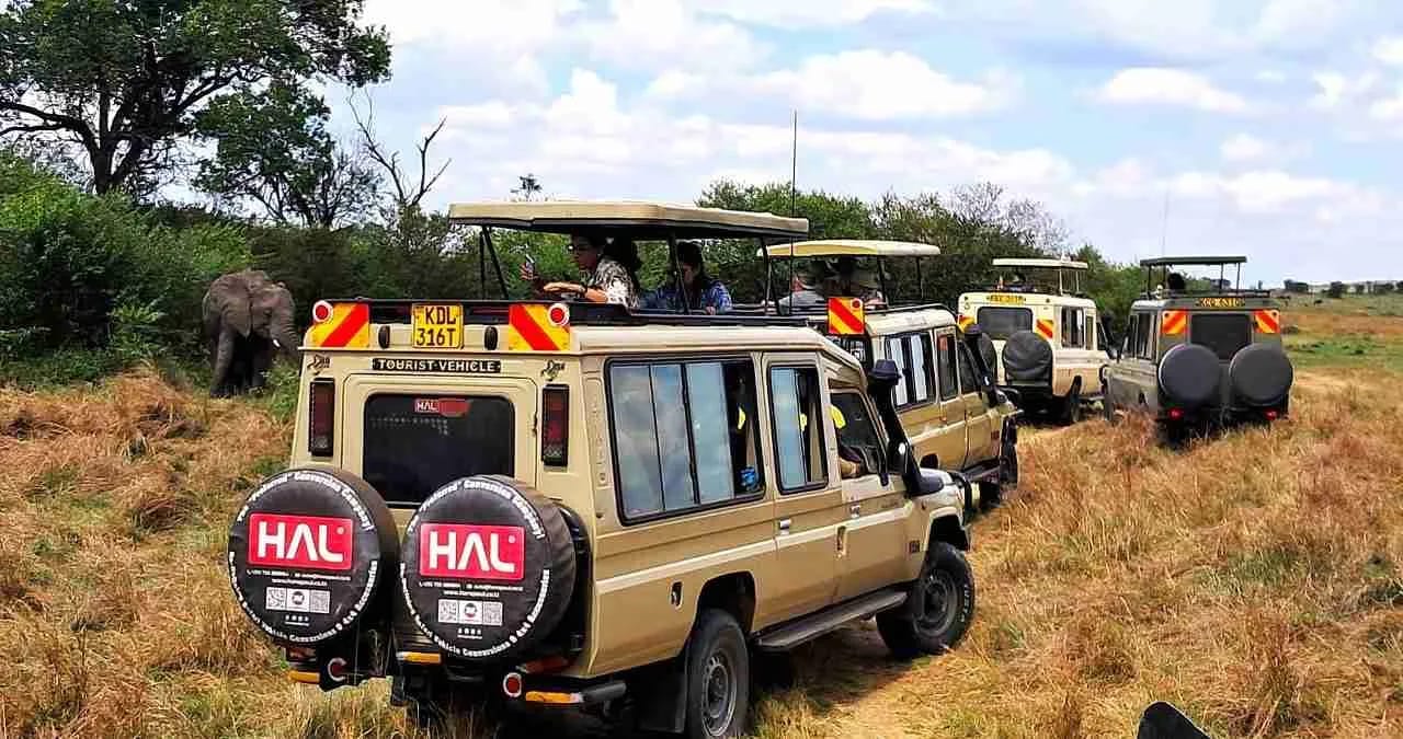 Safari Land Cruiser vehicles on game drive with wildlife in Masai Mara Kenya
